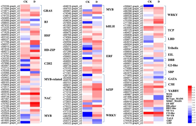 Physiological and transcriptome analysis reveals the mechanism of Gymnocarpos przewalskii response to drought stress.