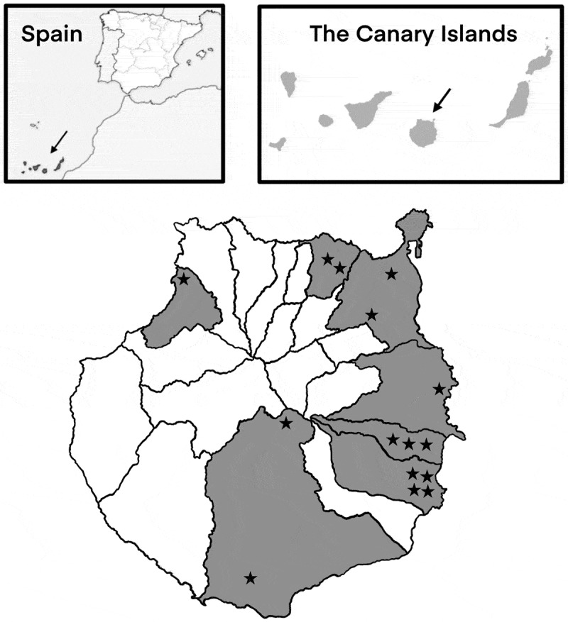 Molecular analysis of cryptosporidiosis on cattle farms in Gran Canaria, Canary Islands (Spain).