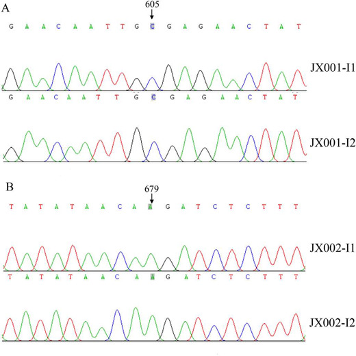 Identification of TGFBR1 Gene Variants in Two Chinese Pedigrees with Loeys-Dietz Syndrome.