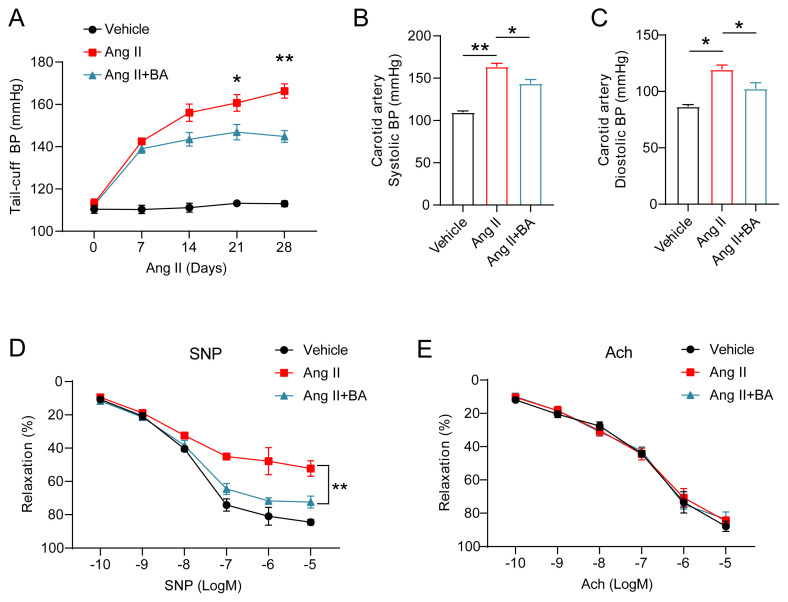 Benzyl alcohol improves Ang II-induced vascular and renal injury.