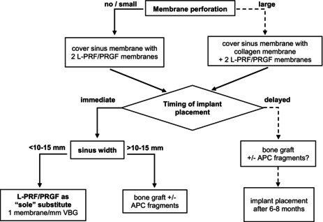 APCs in sinus floor augmentation.