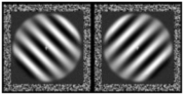 Abstract Image