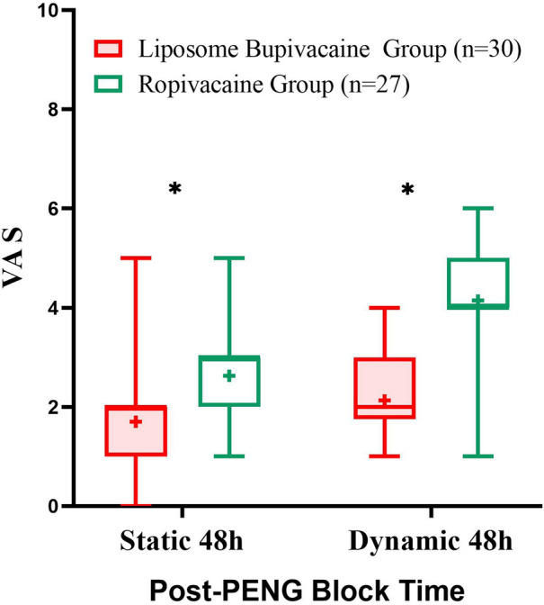 Preoperative Analgesia Efficacy of Liposomal Bupivacaine Following Pericapsular Nerve Group (PENG) Block in Patients with Hip Fracture: A Randomized Controlled Observer-Blinded Study.