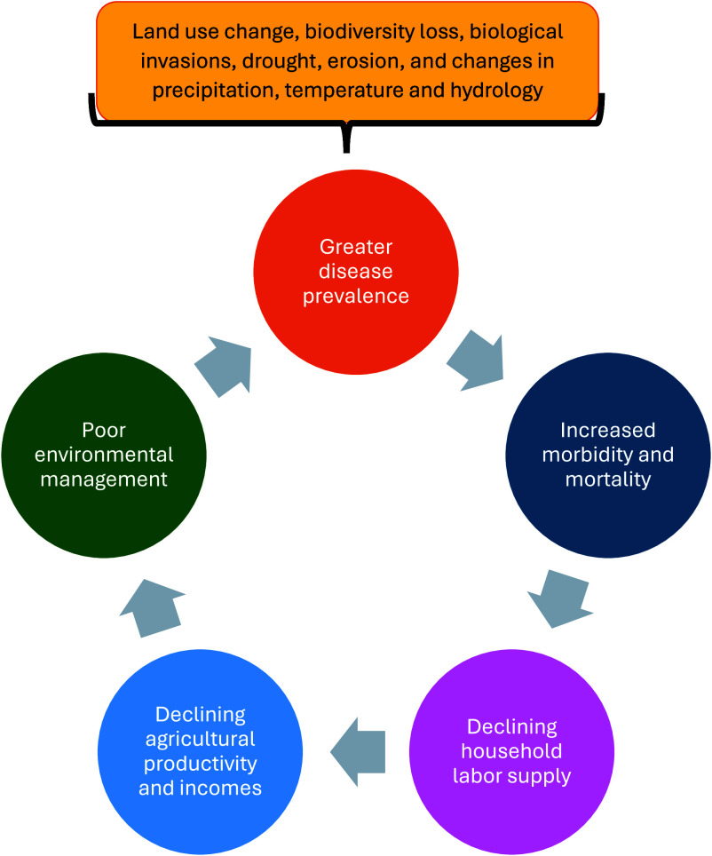 Poverty-disease-environment traps: Locally tailored solutions and collective action.