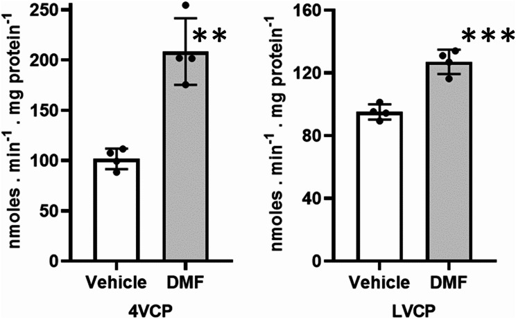 The glutathione-dependent neuroprotective activity of the blood-CSF barrier is inducible through the Nrf2 signaling pathway during postnatal development.
