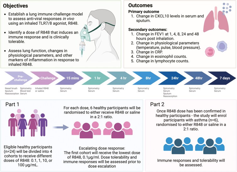 Lung immune challenge study protocol: controlled exposure to inhaled resiquimod (R848) to study mechanisms of inflammation.