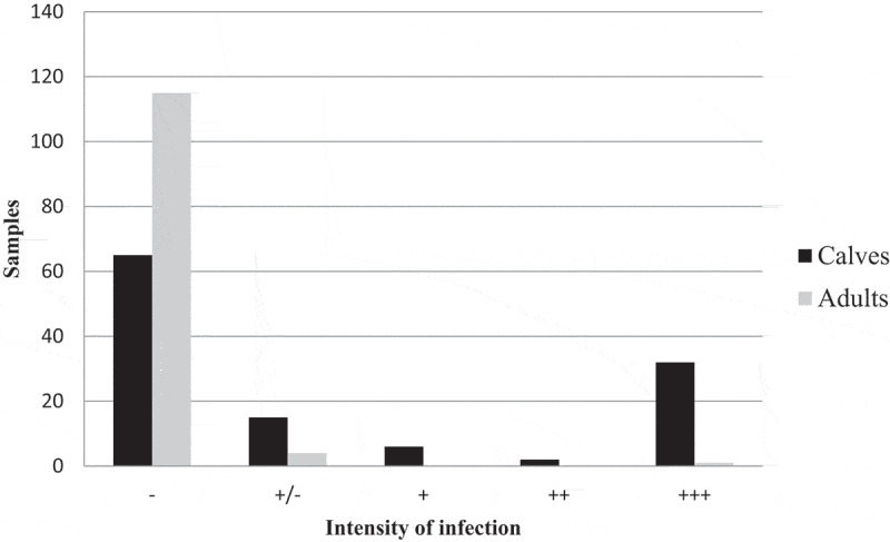 Molecular analysis of cryptosporidiosis on cattle farms in Gran Canaria, Canary Islands (Spain).