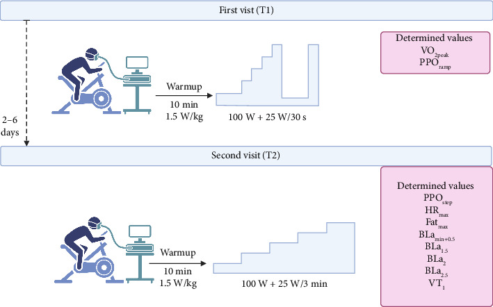 Zone 2 Intensity: A Critical Comparison of Individual Variability in Different Submaximal Exercise Intensity Boundaries.