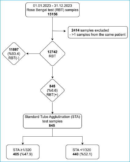 Investigation of Brucellosis Seropositivity in Hakkari Province over One Year: A Multicenter Cross-sectional Study.