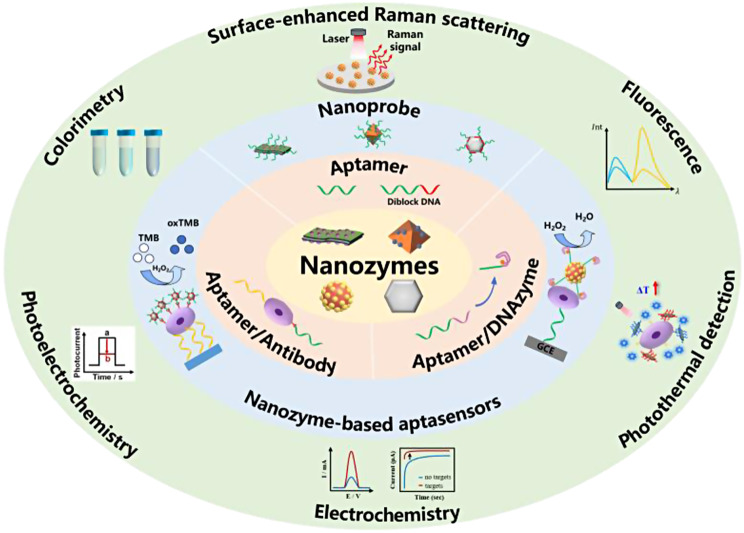Nanozyme-based aptasensors for the detection of tumor biomarkers.