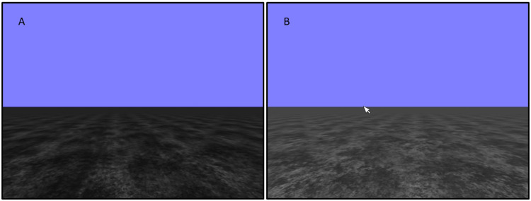 Monocular blur impairs heading judgements from optic flow.