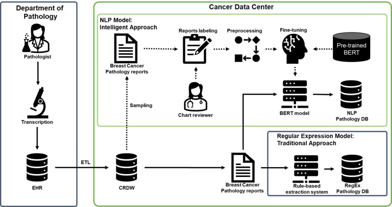 Leveraging natural language processing for efficient information extraction from breast cancer pathology reports: Single-institution study.