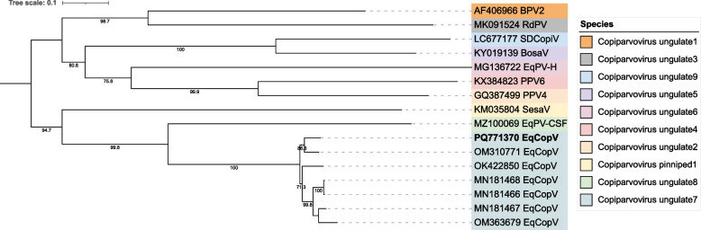 Detection and genetic characterization of equine viruses in Sweden using viral metagenomics.