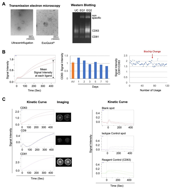 Disease-specific signatures of circulating extracellular vesicles detected by the surface plasmon resonance imaging: a pilot study.
