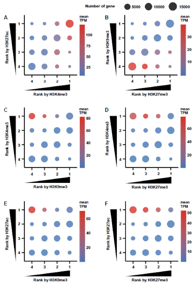 Role of histone modification in chromatin-mediated transcriptional repression in protozoan parasite Trichomonas vaginalis.