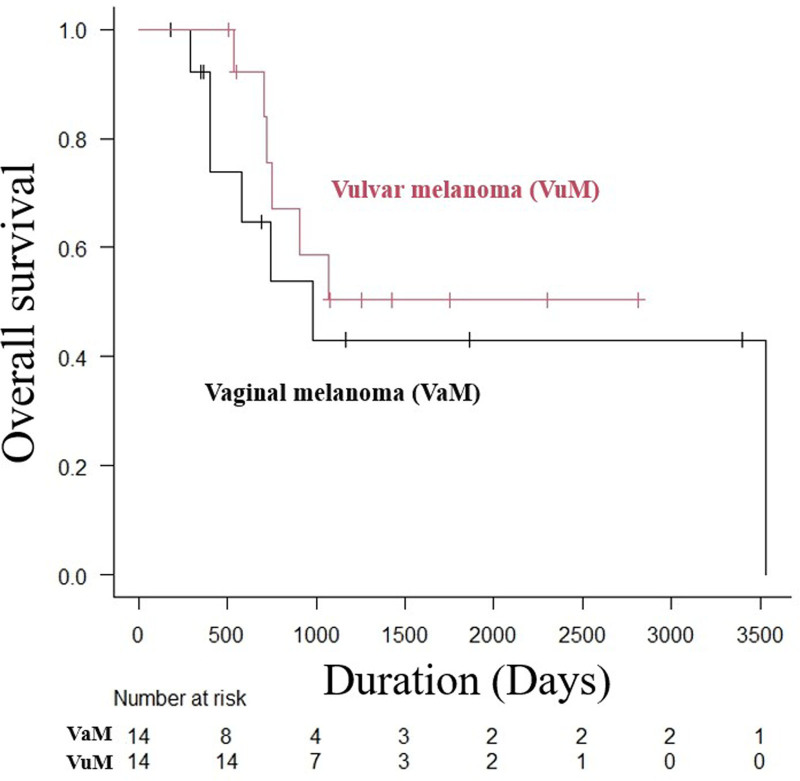 Clinical features of vulvar and vaginal malignant melanomas and the effects of immune checkpoint inhibitors in Japanese patients: a single-center, retrospective cohort study.