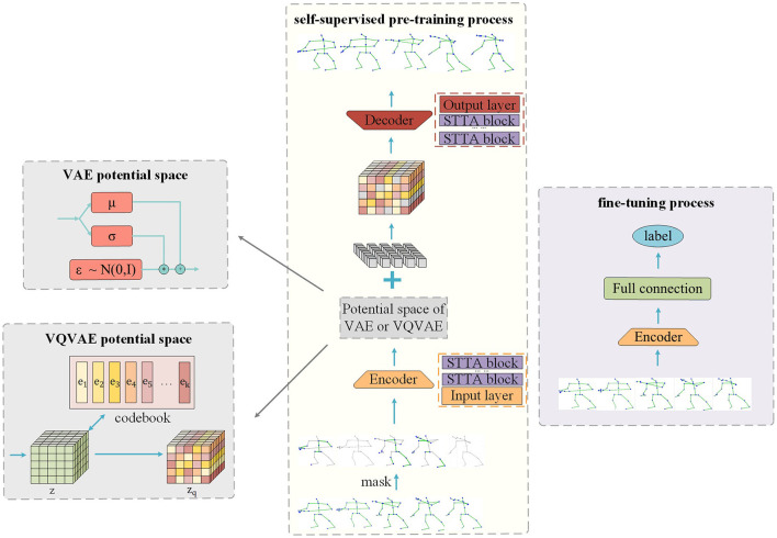 Latent space improved masked reconstruction model for human skeleton-based action recognition.
