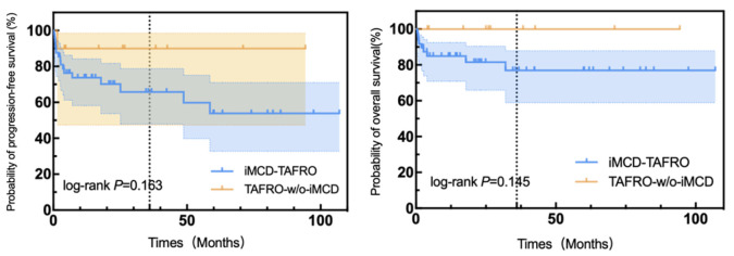 TAFRO Syndrome Without Pathology Supporting Castleman Disease: To Be Treated as Idiopathic Multicentric Castleman Disease-TAFRO or a Distinct Disease Entity?