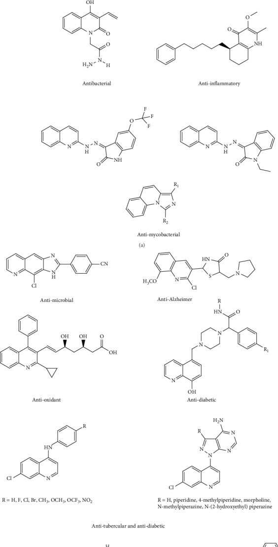 A Comprehensive Review of the Biological Activities of Medicinal Metal Complexes Synthesized From Quinoline Scaffolds.