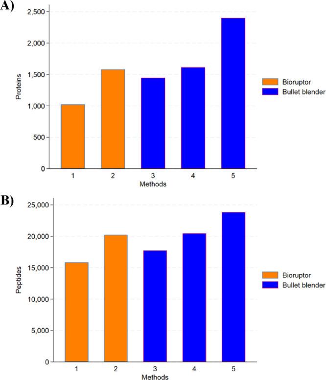 Refinement of Protein Extraction Protocols for Human Peripheral Nerve Tissue.