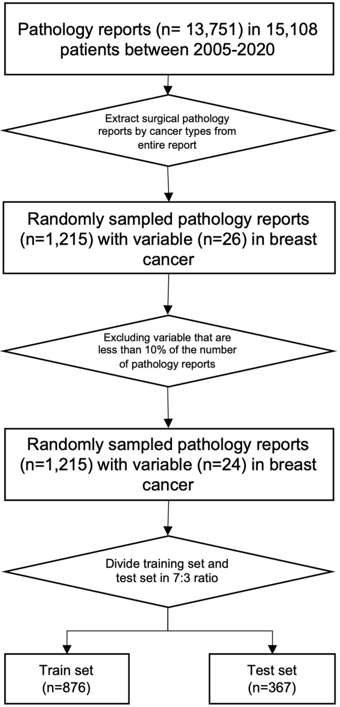 Leveraging natural language processing for efficient information extraction from breast cancer pathology reports: Single-institution study.