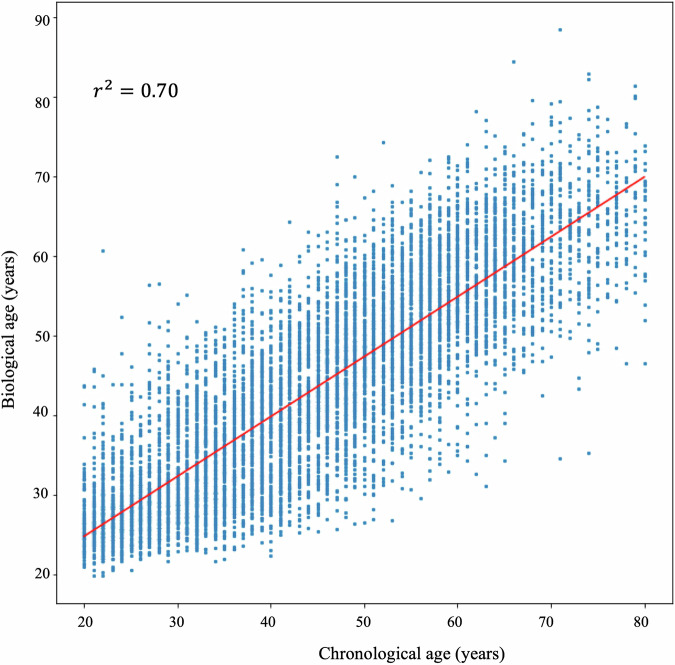 Reclassification of the conventional risk assessment for aging-related diseases by electrocardiogram-enabled biological age.