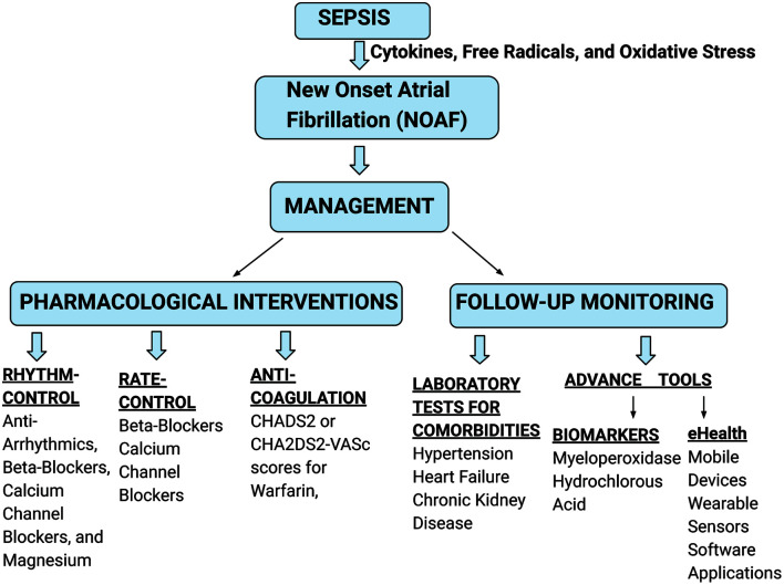 Beyond the Beat: A Multifaceted Review of Atrial Fibrillation in Sepsis: Risk Factors, Management Strategies, and Economic Impact.