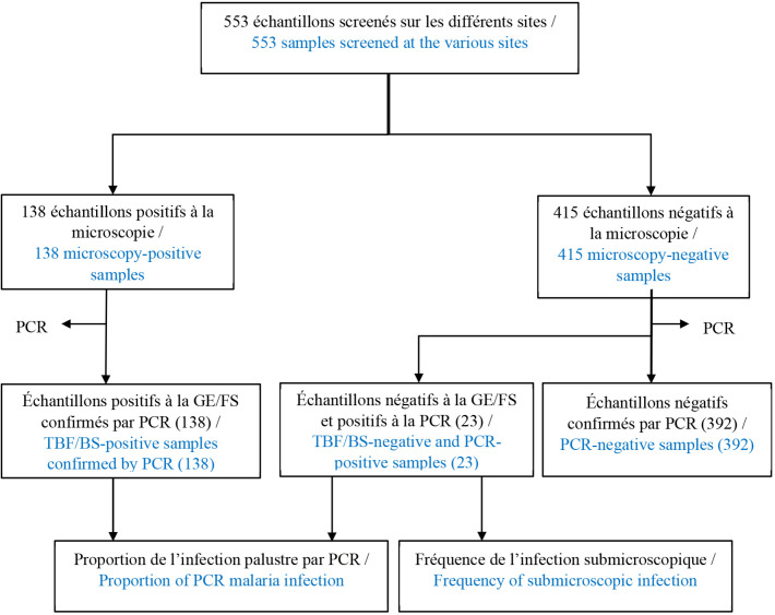 [Submicroscopic <i>Plasmodium</i> spp. Infections in Febrile Patients in Togo].
