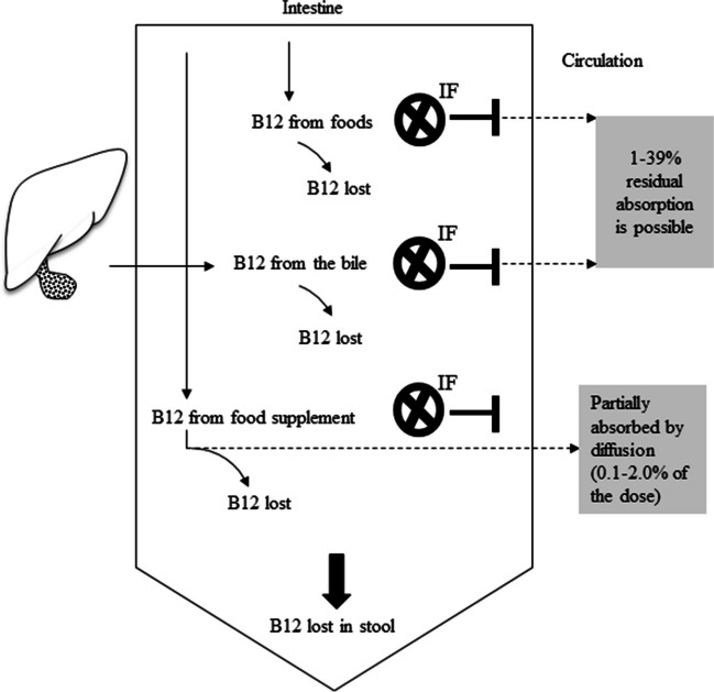 A Framework to Guide Defining an Upper Threshold of Crystalline Vitamin B12 in Foods and Food Supplements.