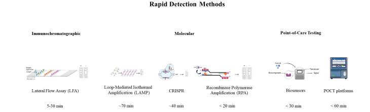From Conventional Detection to Point-of-care Tests (POCT) Method for Pediatric Respiratory Infections Diagnosis: A Systematic Review.