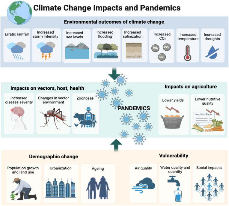 Climate change impacts and pandemics
