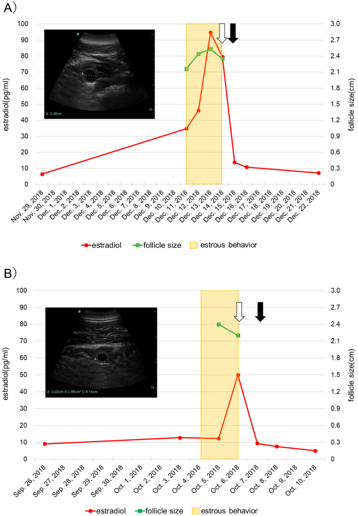 Artificial insemination of bottlenose dolphins (Tursiops truncatus): A trial with simple instruments based on criteria for estrous behaviors linked to changes in estradiol levels and follicle development.