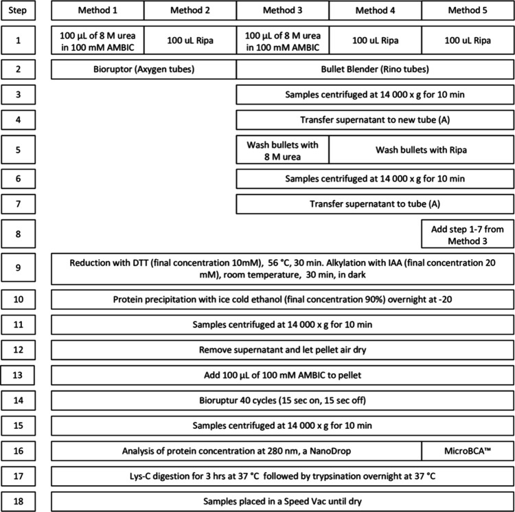 Refinement of Protein Extraction Protocols for Human Peripheral Nerve Tissue.