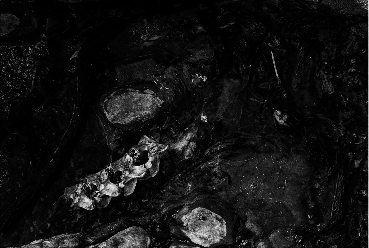Abstract Image