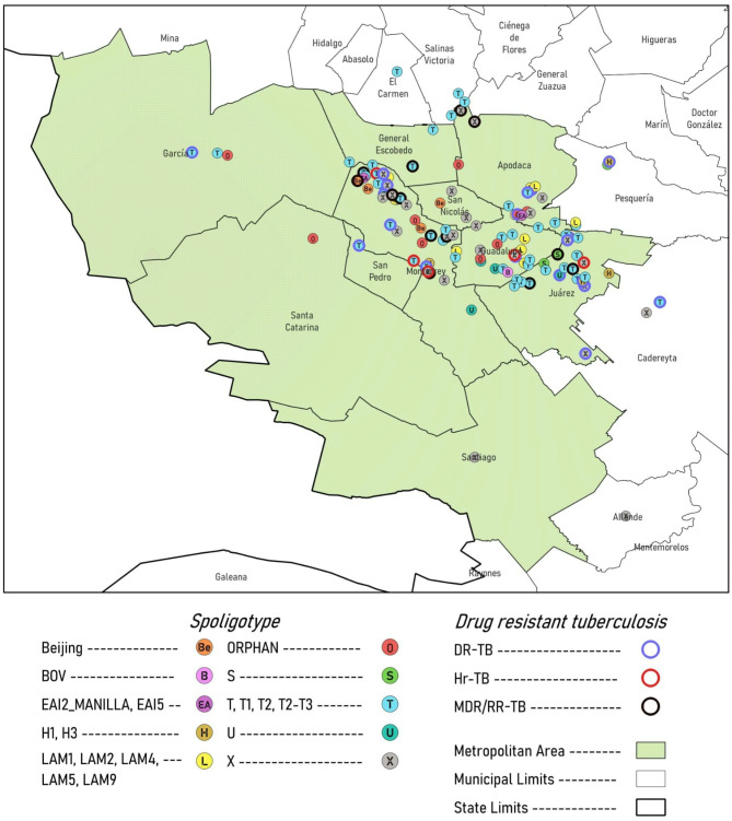 Geographical location and genotyping analysis of pulmonary tuberculosis in the state of Nuevo Leon, Mexico.