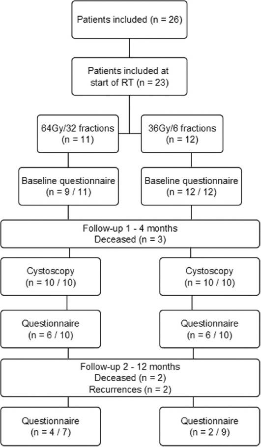 Assessment of lower urinary tract symptoms and their impact on quality of life following radiation therapy for bladder cancer.