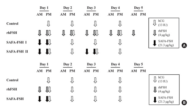 Development of a Long-Acting Follicle-Stimulating Hormone Using Serum Albumin Fab-Associated Technology for Female Infertility.