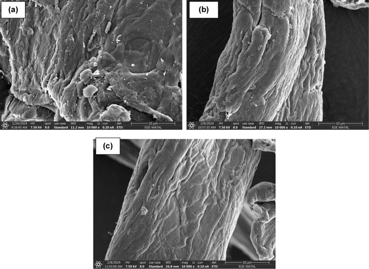 Sulfonated Cellulose: A Strategy for Effective Methylene Blue Sequestration.