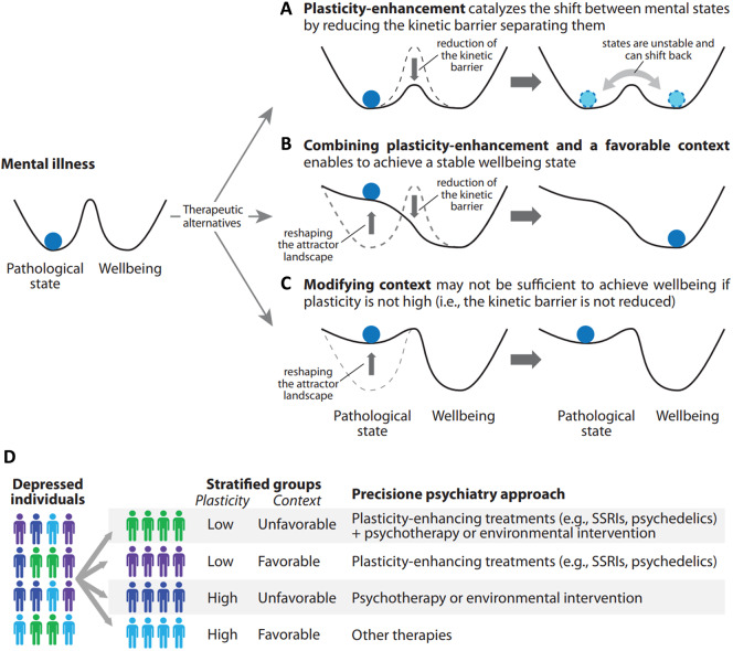 Integrating plasticity into precision psychiatry.