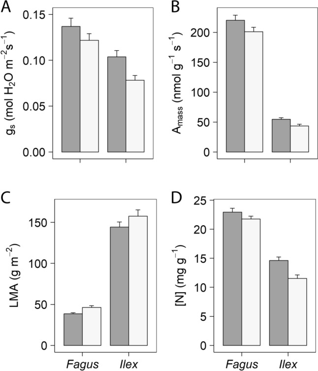 Herbivory legacy modifies leaf economic spectrum and drought tolerance in two tree species.