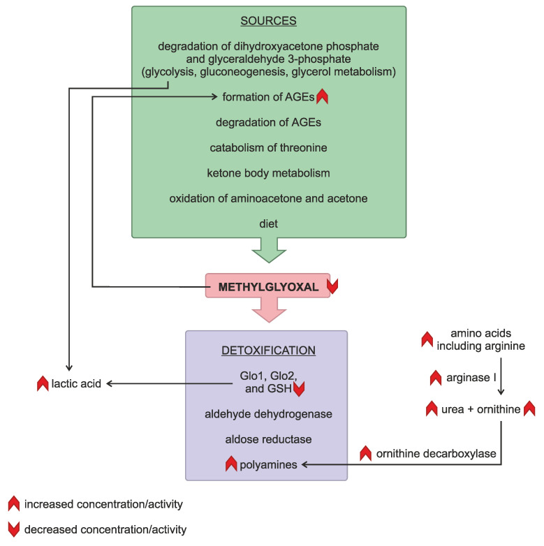 Low Serum Methylglyoxal Levels Correlate with Psoriasis Severity and Inflammatory Response Indices.