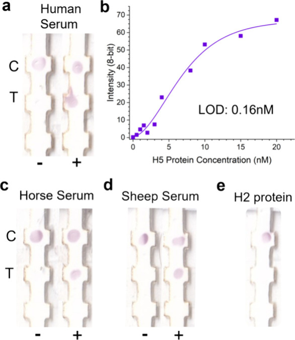 Development of an Immunoassay for Highly Pathogenic Avian Influenza (H5N1) across Diverse Sample Matrices.