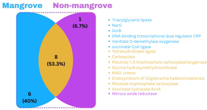 Exploring microbial players for metagenomic profiling of carbon cycling bacteria in sundarban mangrove soils.