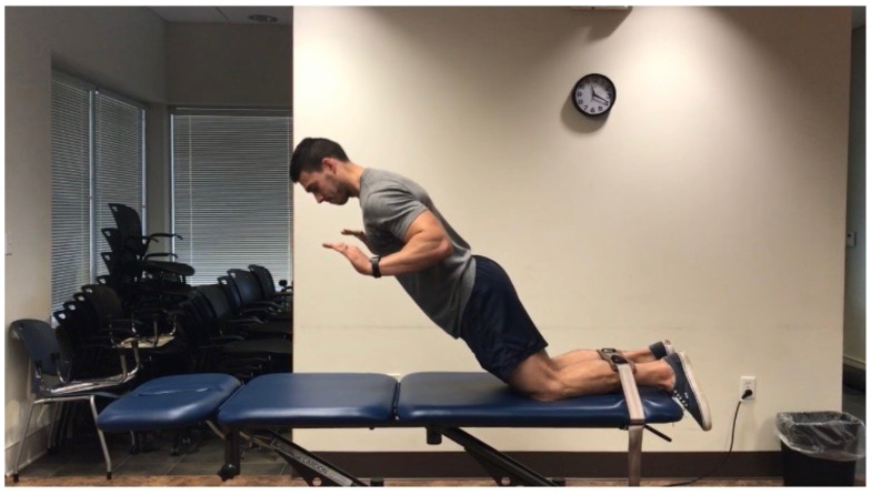 Comparison of a Low Load Eccentric Training Protocol and a Static Stretching Protocol on Hamstring Muscle Flexibility.