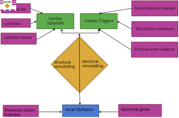 Beyond the Beat: A Multifaceted Review of Atrial Fibrillation in Sepsis: Risk Factors, Management Strategies, and Economic Impact.