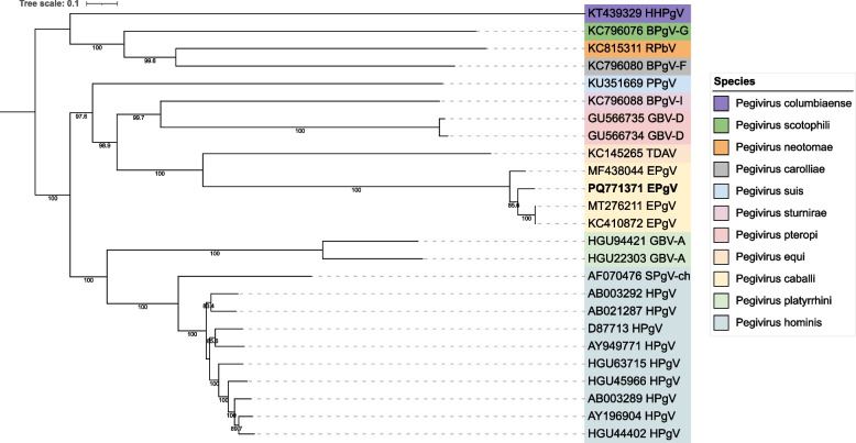 Detection and genetic characterization of equine viruses in Sweden using viral metagenomics.