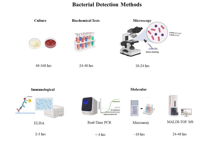 From Conventional Detection to Point-of-care Tests (POCT) Method for Pediatric Respiratory Infections Diagnosis: A Systematic Review.