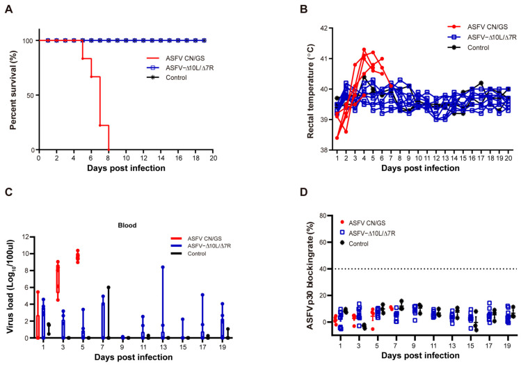 摘要图片