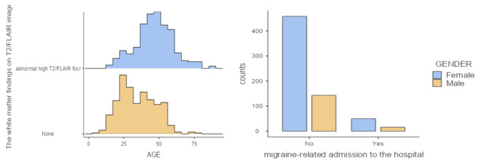 Migraine and MRI: uncovering potential associations.