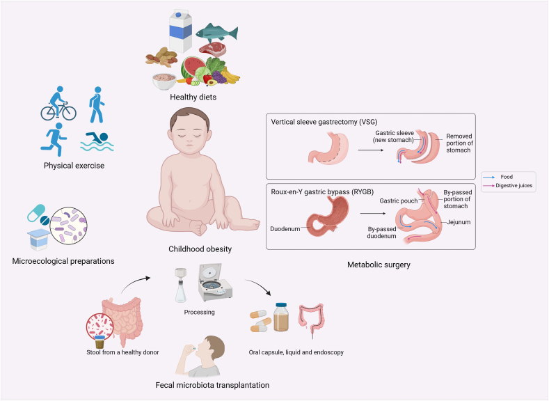 Gut Microbiota: An Important Participant in Childhood Obesity